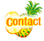 Goto Detail Contact Page